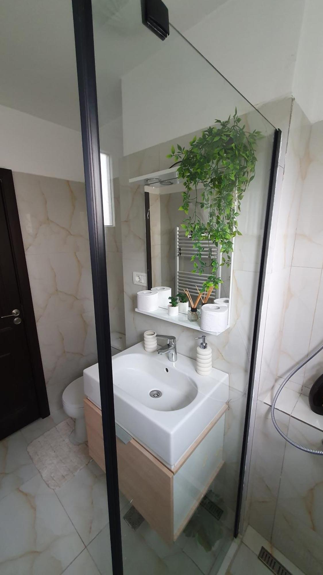Andrei Apartment 브라쇼브 외부 사진